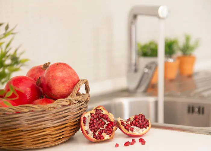 度假居 Residenza Octopus 维拉西米乌斯